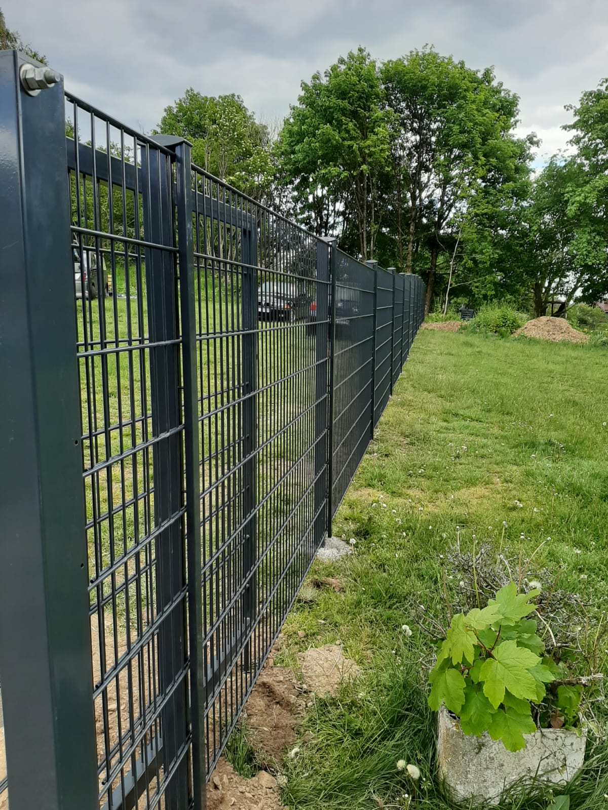 harzer-blockhaus-tannenrauschen