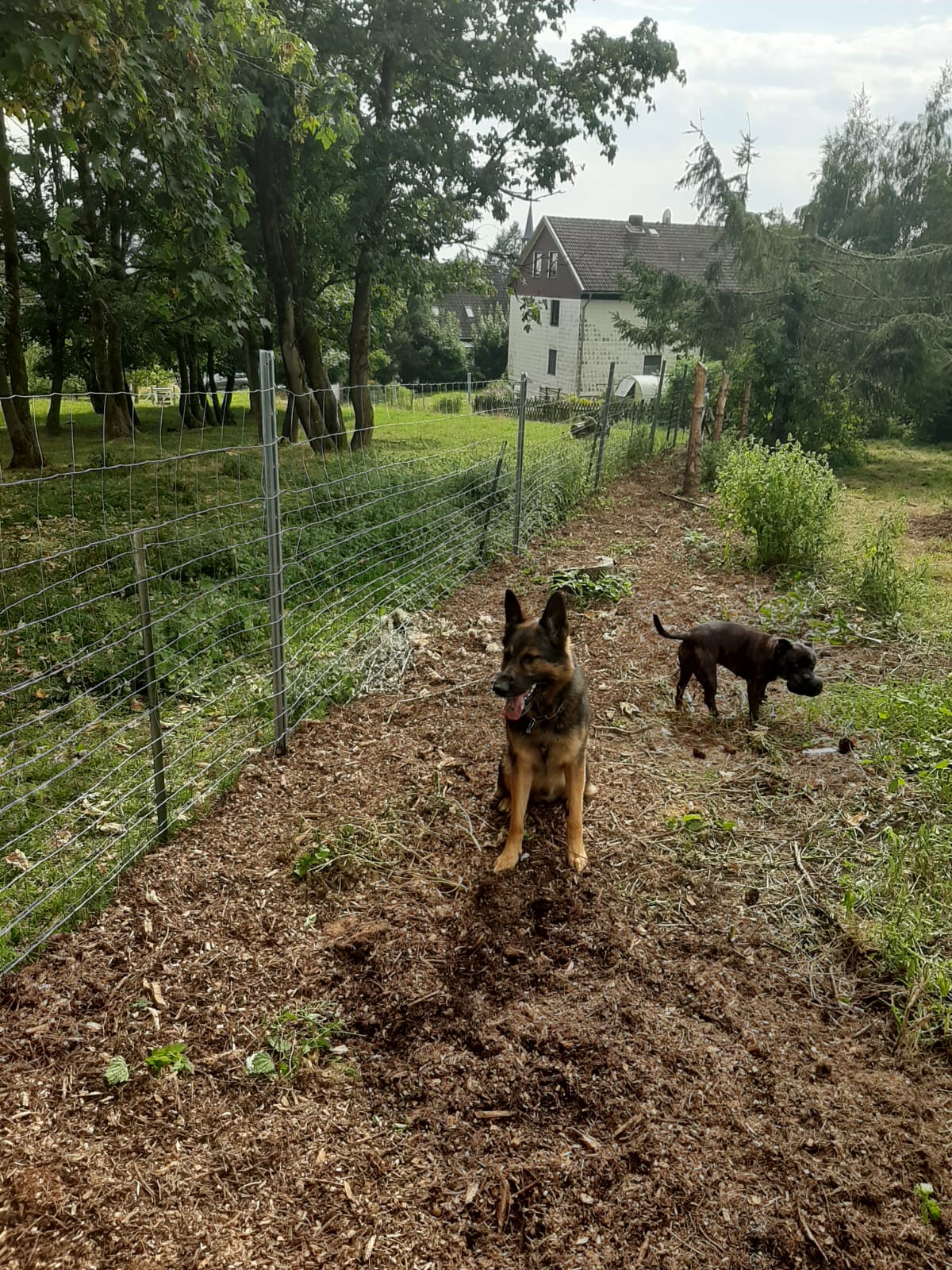 harzer-blockhaus-tannenrauschen